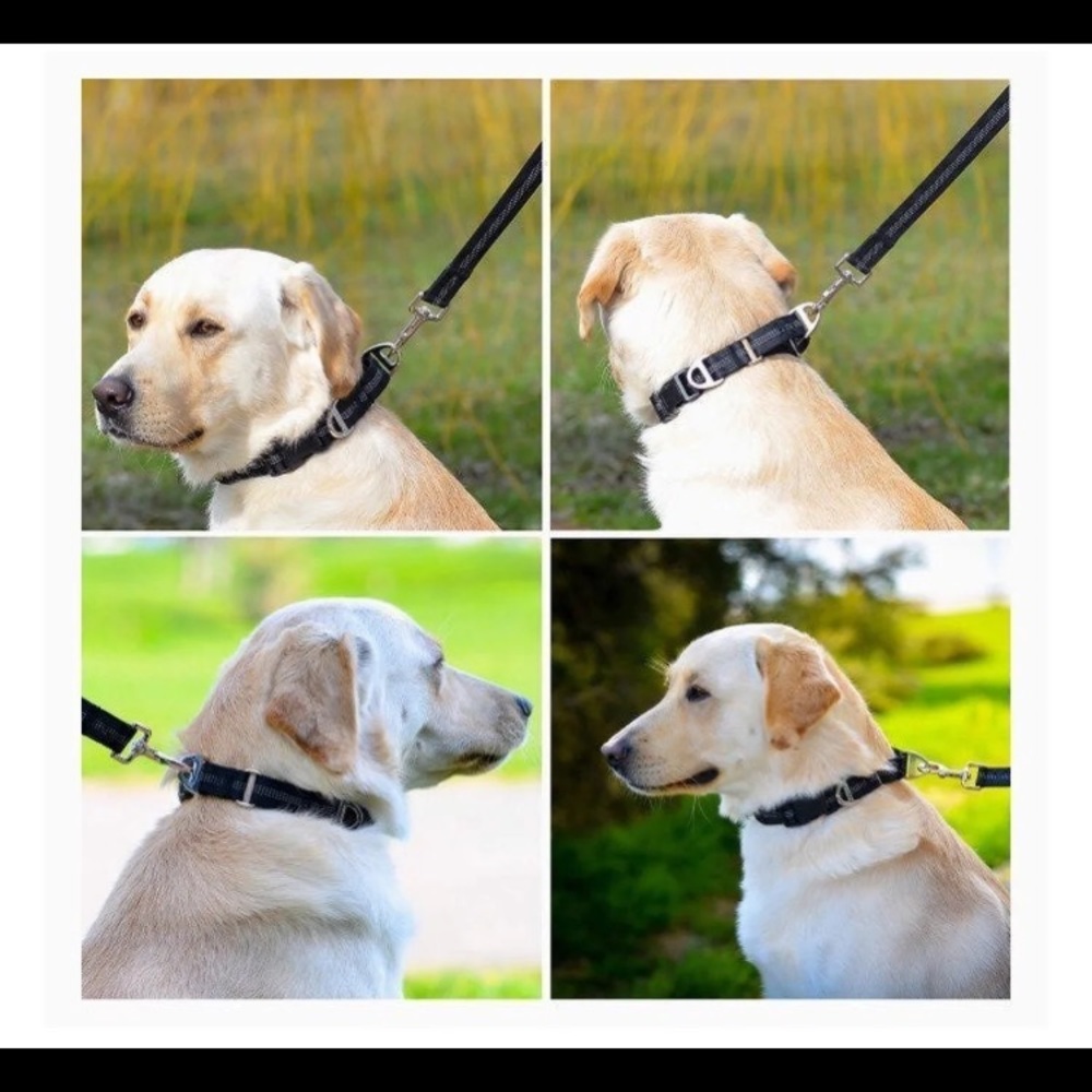 Martindale Reflective Dog Collar and Leash - Picture 6 of 9